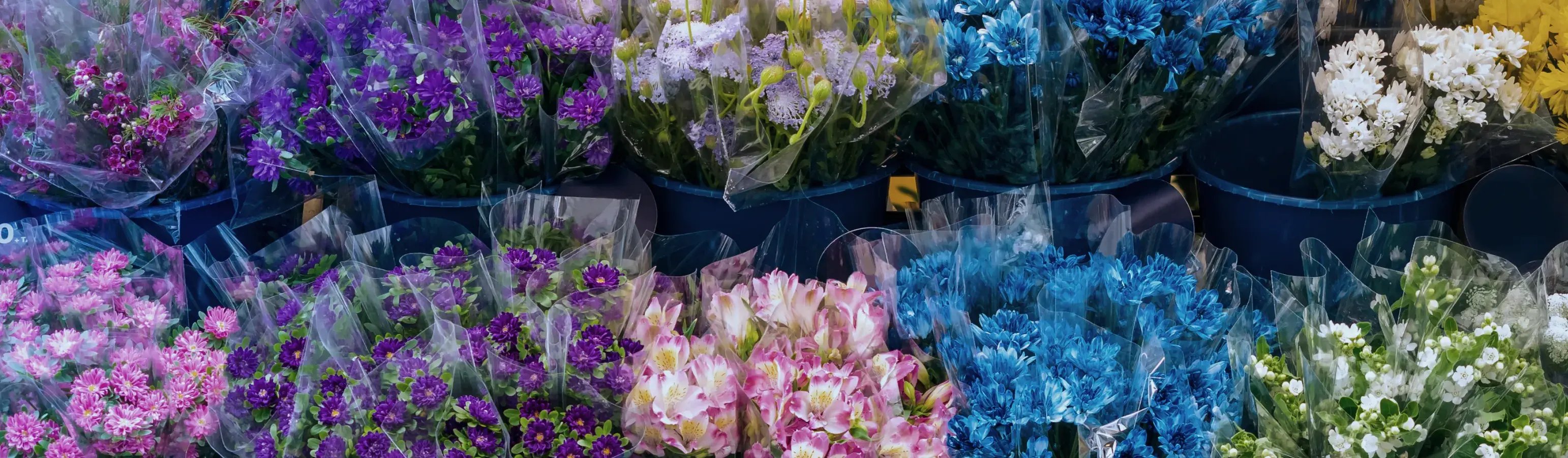 透明なフィルムで包装され、バケツに並べられた色とりどりの切り花のディスプレイ_メインビジュアル_pc